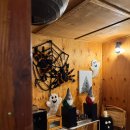 잭큐몬티562 이미지