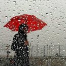 우산수영장 이미지