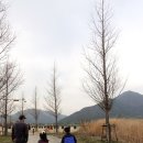 달무리수변공원A 이미지