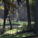 대가야읍 파크골프장 이미지