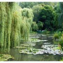 모네정원 이미지