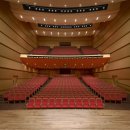 나루아트센터 대공연장 이미지