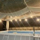 뚱새스테이 이미지