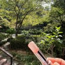 올띵스마켓 이미지