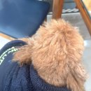 솔마음정신건강의학과의원 이미지