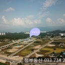 원주역세권부동산공인중개사사무소 이미지