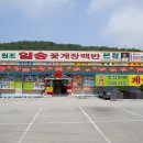 꽃지주유소 이미지