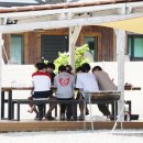 캠프 인더숲 이미지