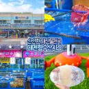 현대수산사료(주) | 보령 여행 대천 가볼만한곳 대천항 수산시장 오징어회 놀거리