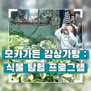 원스페이스 | 다산현대아울렛 스페이스원 모카가든 - 감상가방 수업 후기🌿