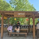 홍룡사 - 1811 | 소원명당 홍룡사 홍룡폭포 후기