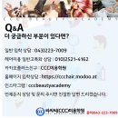 씨씨씨 헤어(CCC 헤어)