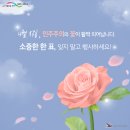 동보음향