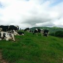 강릉폴게스트하우스 이미지