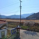 청도강변돌고래펜션 이미지