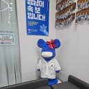 블루베어동물병원 | 블루베어동물병원