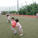 풍호체육공원 이미지