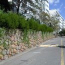 신우엘에스 이미지