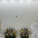 오네프스튜디오 네이버블로그