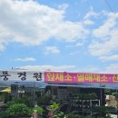 대구 불로화훼단지 풍경원 토마토모종 구매후기