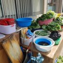 자인백반 이미지