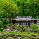 지연사