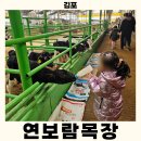 김포 아이 체험학습 장소 연보람목장 젖소체험 치즈 피자 만들기
