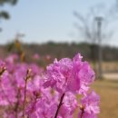 사월해 이미지