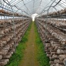 정경식농장 이미지