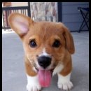 진도돈마당 이미지