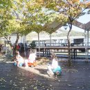 엘림커머스 이미지