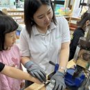 태화초교병설유치원 이미지