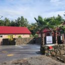 협재둥지 이미지