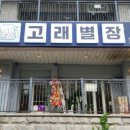 치킨고래 이미지