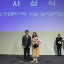 송시 이미지