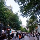 중앙대 광장 이미지