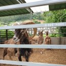 한우드림 이미지