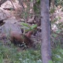 방장산 농장 이미지