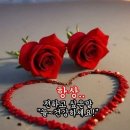 행복한하루 이미지