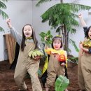 서울봉은초등학교 이미지