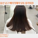 화요일플라워 | 울산 베이직헤어 달동플라워점 클리닉 후기 ,달동 머리잘하는곳