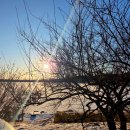 양도면-9 | 강화도 길상 빙어축제 내돈내산 후기 ㅣ 빙어낚시 꿀팁 준비물 총정리