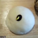 빵트리 이미지