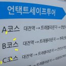 언택트세이프? 이미지