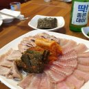 홍탁나라 이미지