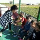 인준농장 이미지