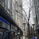 종로-신영-종로-영-122 | 정백어가 광화문 피맛골본점 재방문 후기: 참돔구이 정찬, 통대구지리탕 추천, 종로 생선구이 맛집