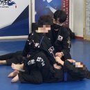 호연 합기도 이미지