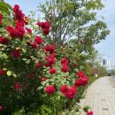이마트24마포서교점 이미지