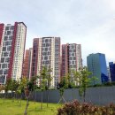 양성당구클럽 이미지